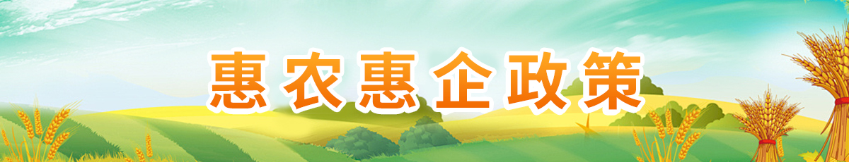 惠农惠企政策