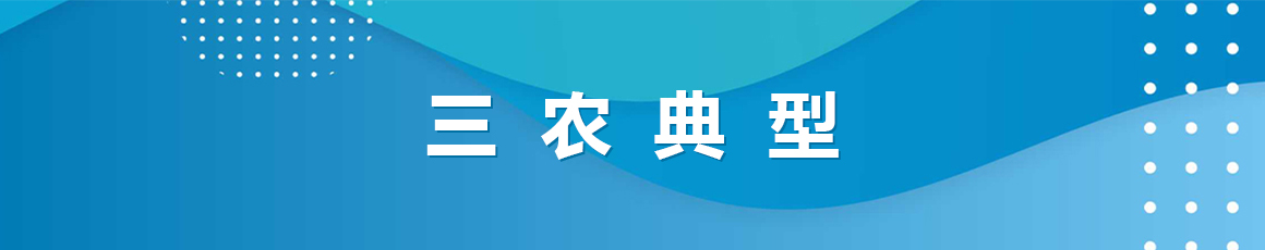 三农典型