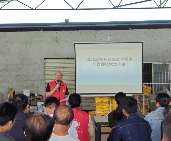 2025年柳州市特色水果生产管理技术培训会开云体育app在柳召开(图3)