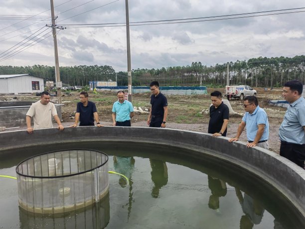 柳江区农林产业工作专班赴南宁、崇左开展招商考察活动全力推动农业产业转型升级