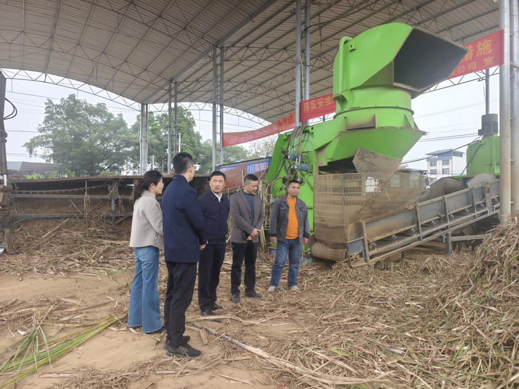 2.调研组察看甘蔗分步式除杂中心作业情况_调整大小.png