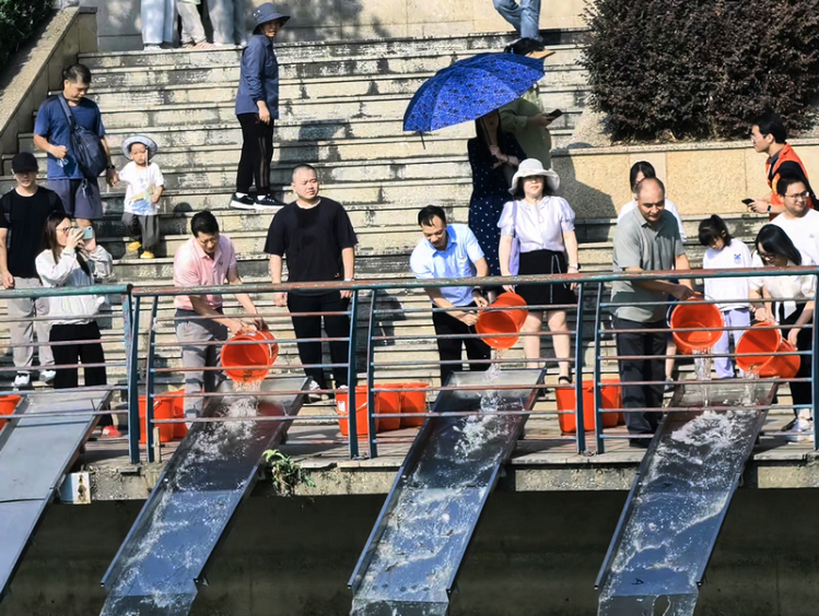 投放优质鱼苗.jpg