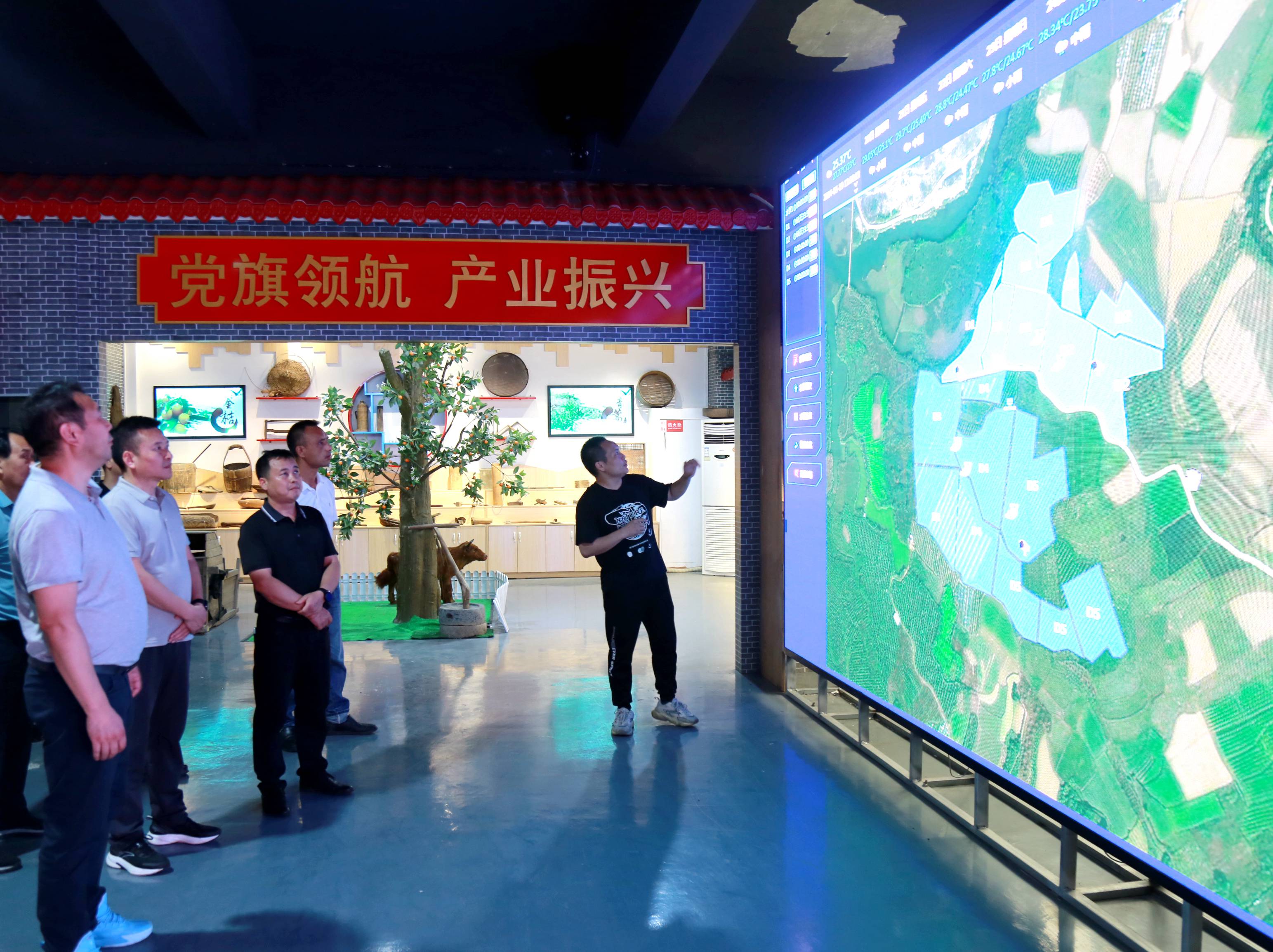 在广西融安蚂蚁农业发展有限公司考察 (1).jpg