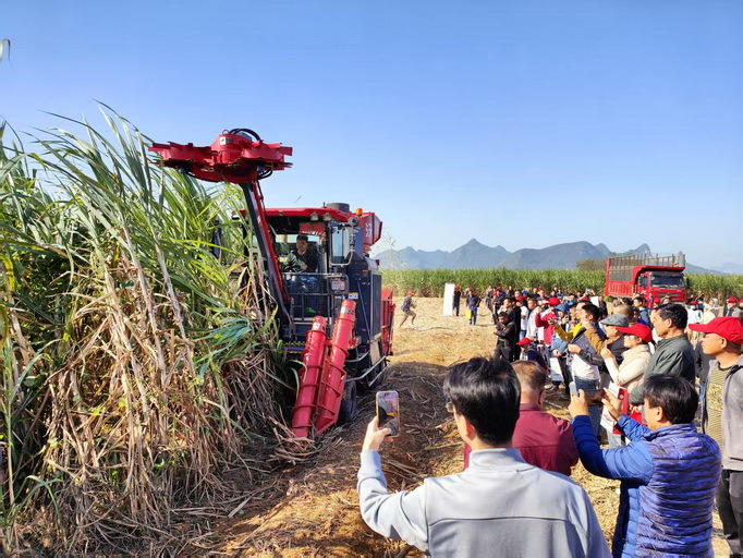 2甘蔗联合收割机作业演示_调整大小.jpg