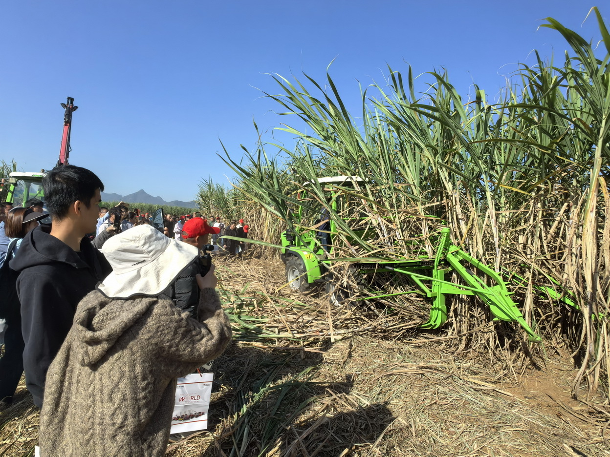 5甘蔗割铺机和割堆机作业演示_调整大小.jpg