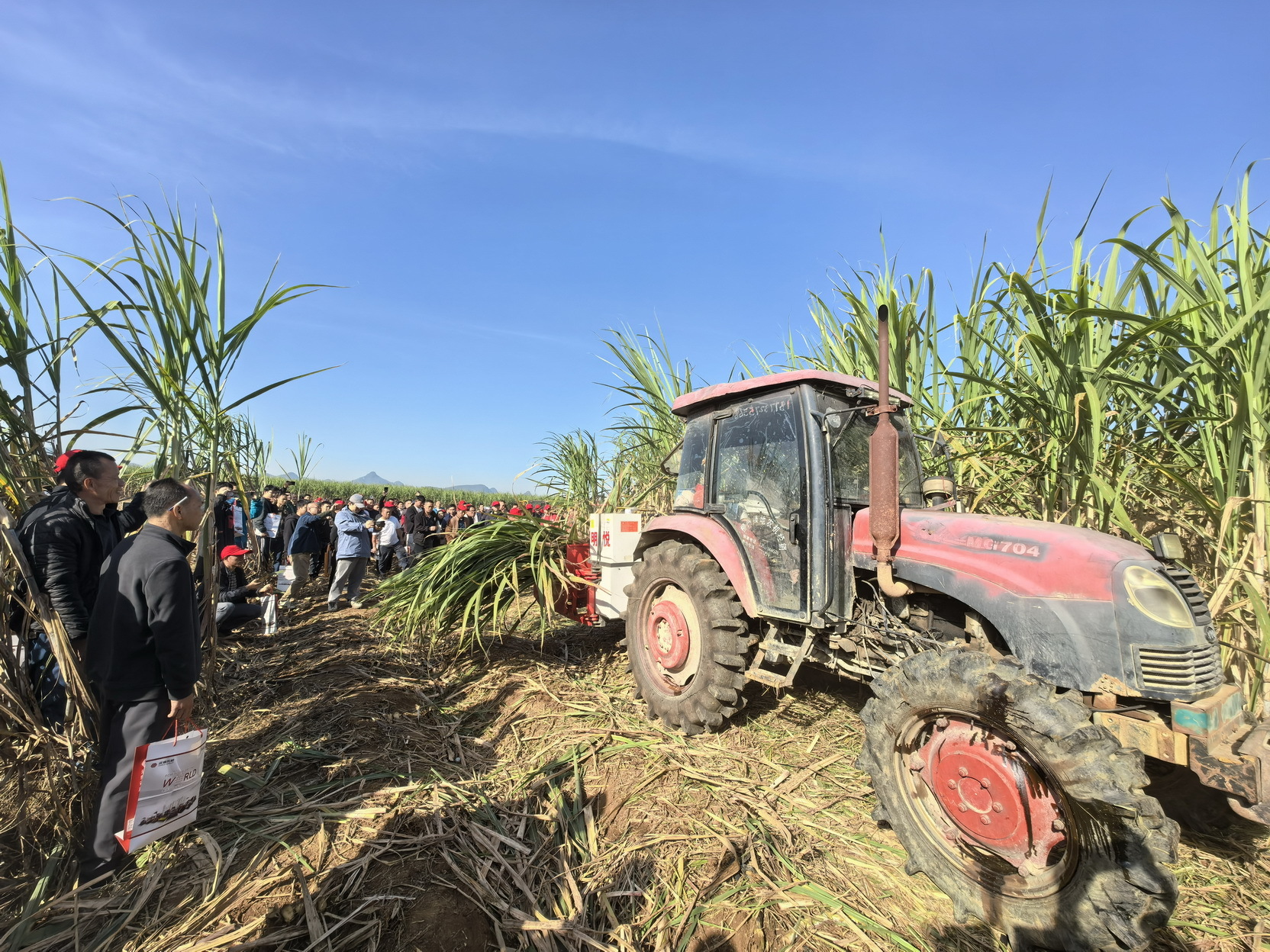 7甘蔗割铺机和割堆机作业演示_调整大小.jpg