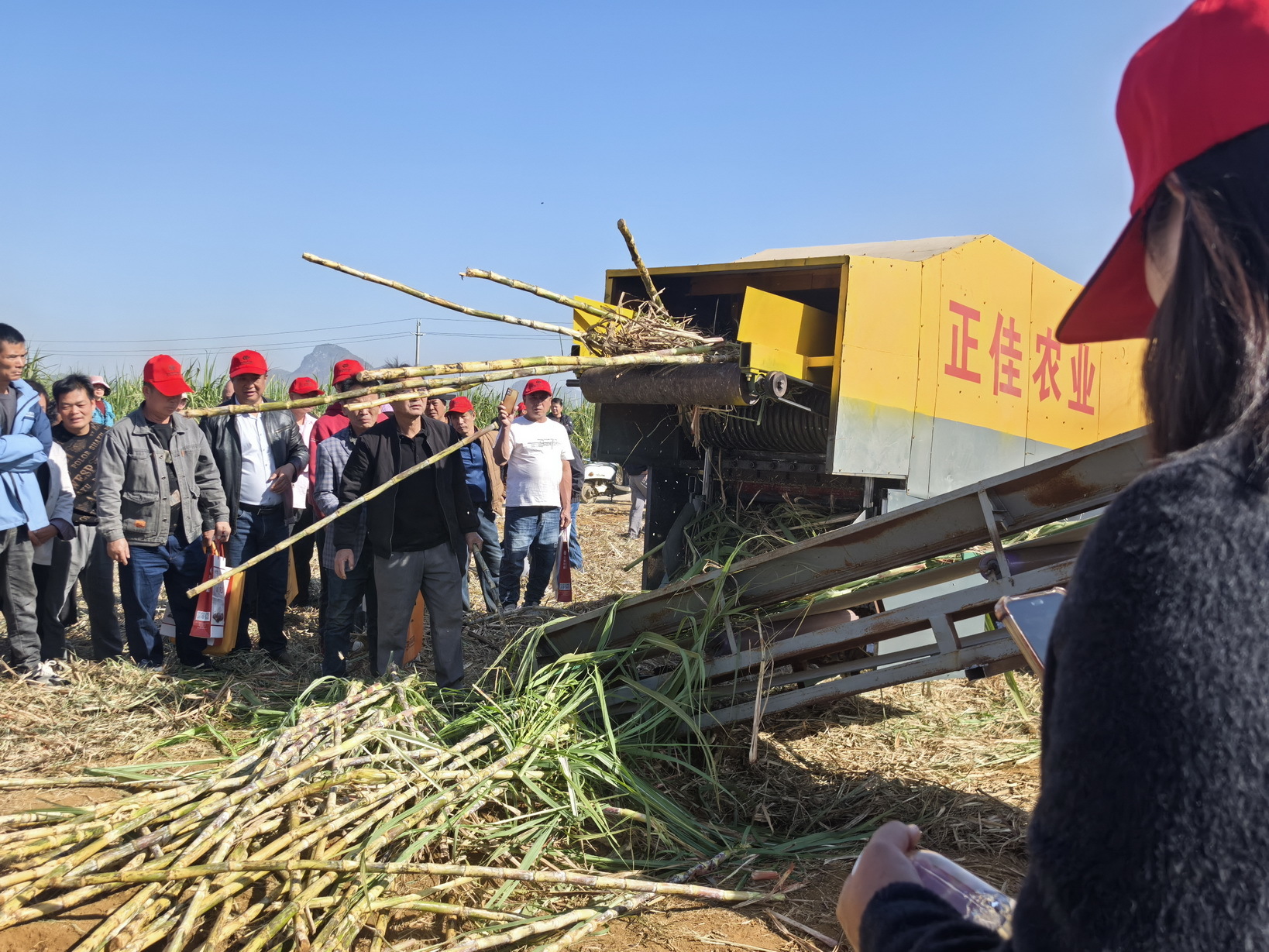 10甘蔗除杂设备作业演示_调整大小.jpg