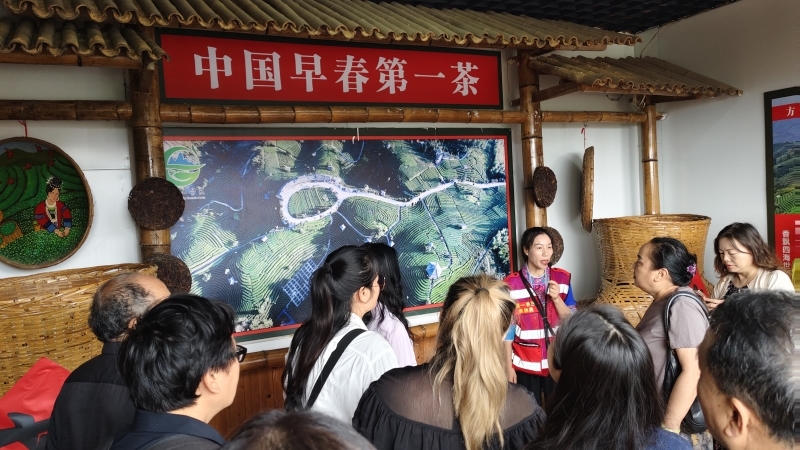 图片5_800x450.jpg