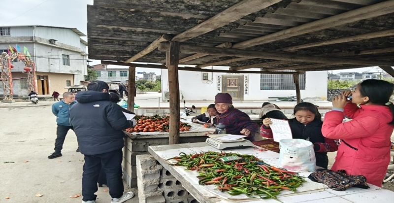 图片8_800x412.jpg