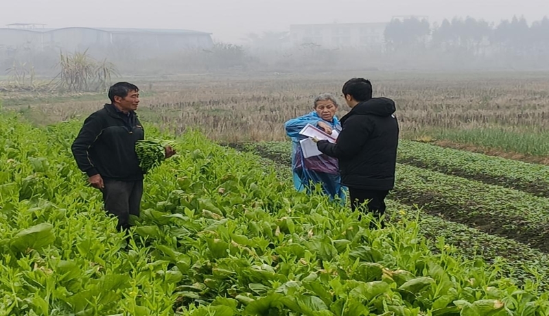 图片9_800x461.jpg